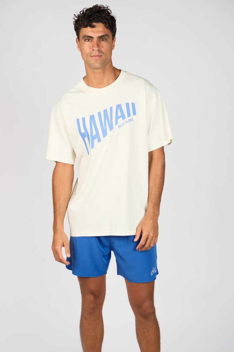 Billy Aloha Hawaii Swell Tee