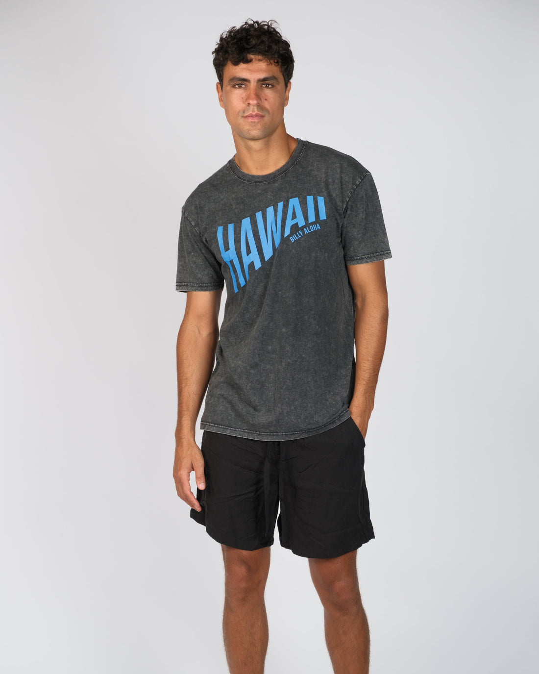 Billy Aloha Hawaii Swell Tee