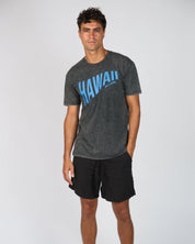 Billy Aloha Hawaii Swell Tee