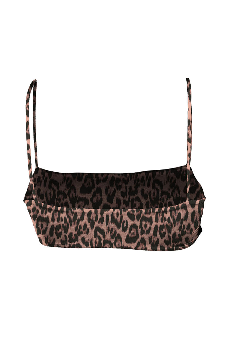 FelineModTopBack.jpg
