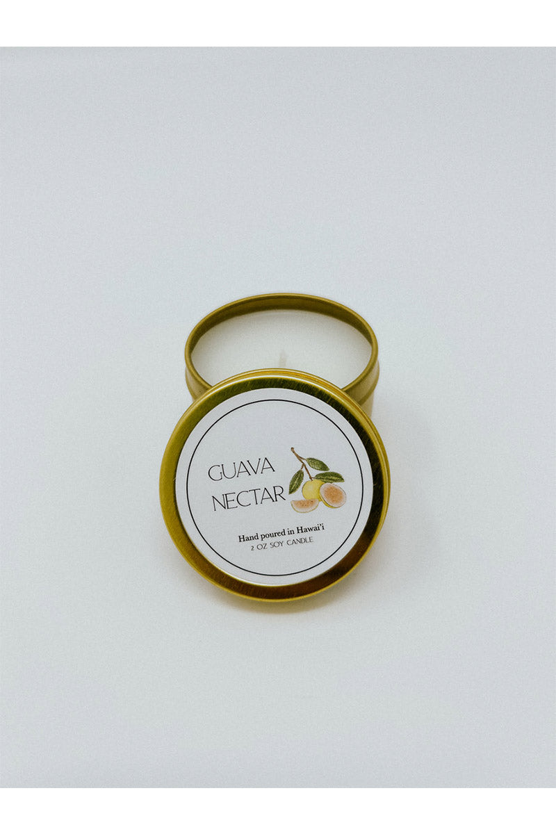 Jules_GemGuavaNectarSoyCandle2oz_1.jpg