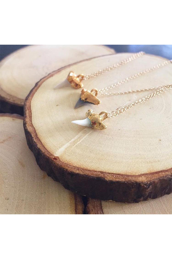 White Shark Tooth Necklace