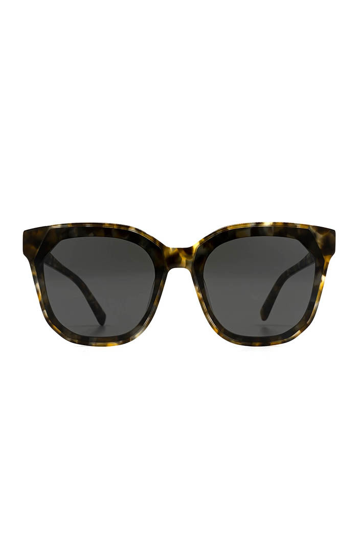 Gia Sea Tortoise Grey