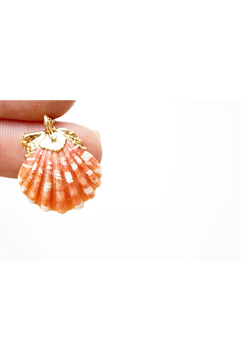 Sunrise Shell Necklace